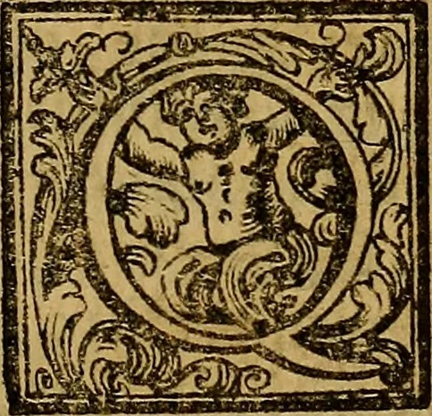 An illustration from Vite de' pittori, scultori, ed architetti moderni : scritte, e dedicate alla maestà di Vittorio Amadeo, Re di Sardegna, 1730, leaf 336