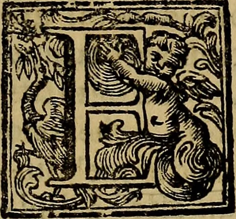 An illustration from Vite de' pittori, scultori, ed architetti moderni : scritte, e dedicate alla maestà di Vittorio Amadeo, Re di Sardegna, 1730, leaf 358
