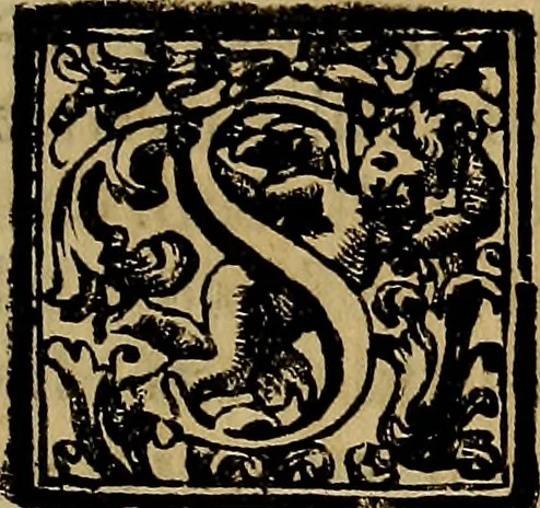 An illustration from Vite de' pittori, scultori, ed architetti moderni : scritte, e dedicate alla maestà di Vittorio Amadeo, Re di Sardegna, 1730, leaf 368