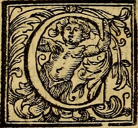 An illustration from Vite de' pittori, scultori, ed architetti moderni : scritte, e dedicate alla maestà di Vittorio Amadeo, Re di Sardegna, 1730, leaf 405