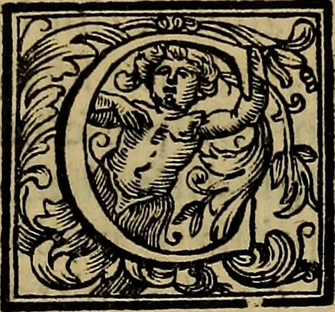 An illustration from Vite de' pittori, scultori, ed architetti moderni : scritte, e dedicate alla maestà di Vittorio Amadeo, Re di Sardegna, 1730, leaf 418