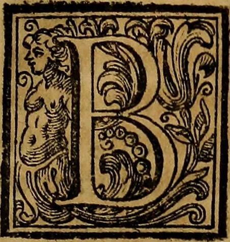 An illustration from Vite de' pittori, scultori, ed architetti moderni : scritte, e dedicate alla maestà di Vittorio Amadeo, Re di Sardegna, 1730, leaf 442