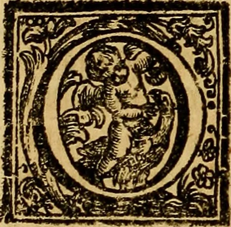 An illustration from Vite de' pittori, scultori, ed architetti moderni : scritte, e dedicate alla maestà di Vittorio Amadeo, Re di Sardegna, 1730, leaf 455