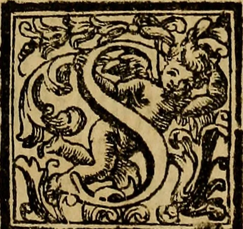 An illustration from Vite de' pittori, scultori, ed architetti moderni : scritte, e dedicate alla maestà di Vittorio Amadeo, Re di Sardegna, 1730, leaf 464