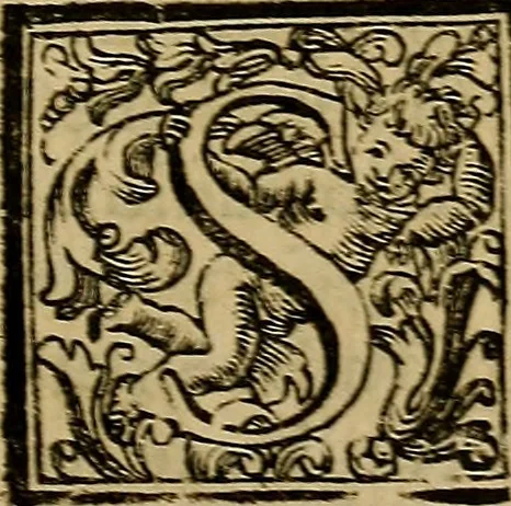 An illustration from Vite de' pittori, scultori, ed architetti moderni : scritte, e dedicate alla maestà di Vittorio Amadeo, Re di Sardegna, 1730, leaf 476
