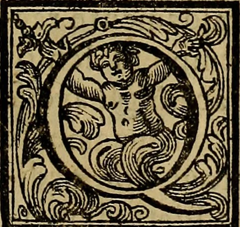 An illustration from Vite de' pittori, scultori, ed architetti moderni : scritte, e dedicate alla maestà di Vittorio Amadeo, Re di Sardegna, 1730, leaf 496