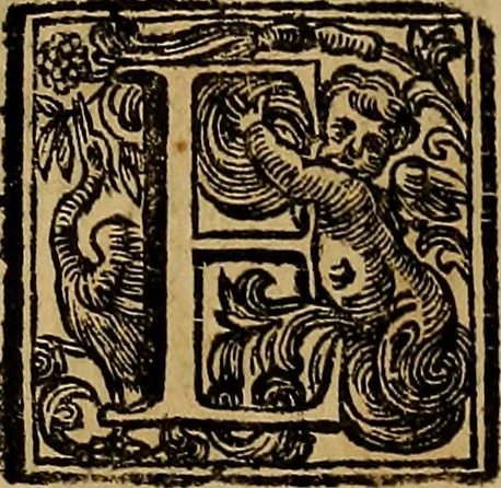 An illustration from Vite de' pittori, scultori, ed architetti moderni : scritte, e dedicate alla maestà di Vittorio Amadeo, Re di Sardegna, 1730, leaf 520