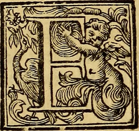 An illustration from Vite de' pittori, scultori, ed architetti moderni : scritte, e dedicate alla maestà di Vittorio Amadeo, Re di Sardegna, 1730, leaf 529