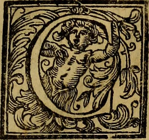 An illustration from Vite de' pittori, scultori, ed architetti moderni : scritte, e dedicate alla maestà di Vittorio Amadeo, Re di Sardegna, 1730, leaf 76