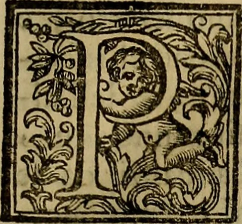An illustration from Vite de' pittori, scultori, ed architetti moderni : scritte, e dedicate alla maestà di Vittorio Amadeo, Re di Sardegna, 1730, leaf 84