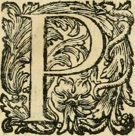 An illustration from Vite de' pittori, scultori, ed architetti perugini : scritte, e dedicate alla maesta' di Carlo Emanuel, re di Sardegna, 1732, leaf 14