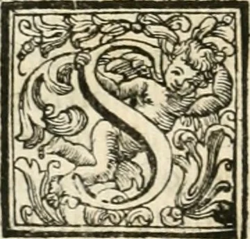 An illustration from Vite de' pittori, scultori, ed architetti perugini : scritte, e dedicate alla maesta' di Carlo Emanuel, re di Sardegna, 1732, leaf 147