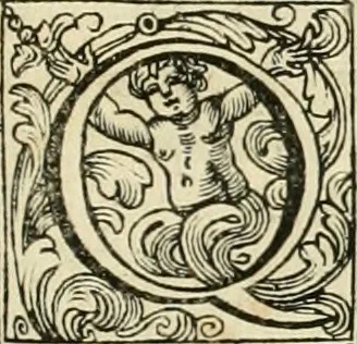 An illustration from Vite de' pittori, scultori, ed architetti perugini : scritte, e dedicate alla maesta' di Carlo Emanuel, re di Sardegna, 1732, leaf 150