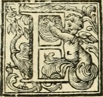 An illustration from Vite de' pittori, scultori, ed architetti perugini : scritte, e dedicate alla maesta' di Carlo Emanuel, re di Sardegna, 1732, leaf 170