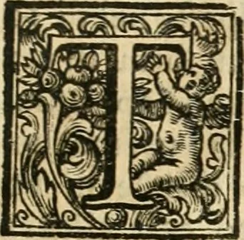 An illustration from Vite de' pittori, scultori, ed architetti perugini : scritte, e dedicate alla maesta' di Carlo Emanuel, re di Sardegna, 1732, leaf 188