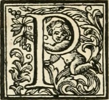 An illustration from Vite de' pittori, scultori, ed architetti perugini : scritte, e dedicate alla maesta' di Carlo Emanuel, re di Sardegna, 1732, leaf 213