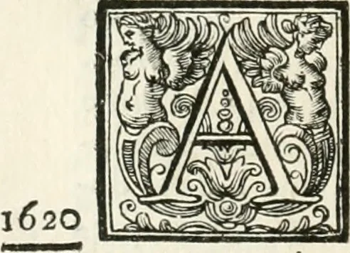 An illustration from Vite de' pittori, scultori, ed architetti perugini : scritte, e dedicate alla maesta' di Carlo Emanuel, re di Sardegna, 1732, leaf 221