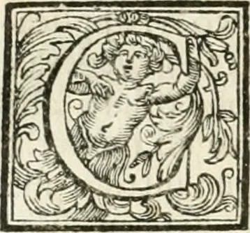 An illustration from Vite de' pittori, scultori, ed architetti perugini : scritte, e dedicate alla maesta' di Carlo Emanuel, re di Sardegna, 1732, leaf 223