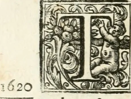 An illustration from Vite de' pittori, scultori, ed architetti perugini : scritte, e dedicate alla maesta' di Carlo Emanuel, re di Sardegna, 1732, leaf 225
