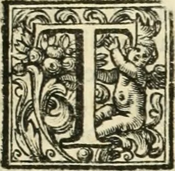 An illustration from Vite de' pittori, scultori, ed architetti perugini : scritte, e dedicate alla maesta' di Carlo Emanuel, re di Sardegna, 1732, leaf 268