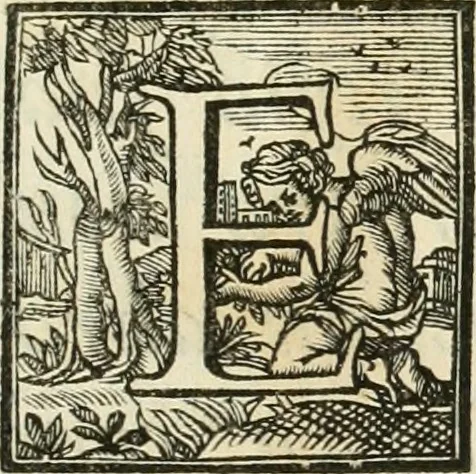 An illustration from Vite de' pittori, scultori, ed architetti perugini : scritte, e dedicate alla maesta' di Carlo Emanuel, re di Sardegna, 1732, leaf 8