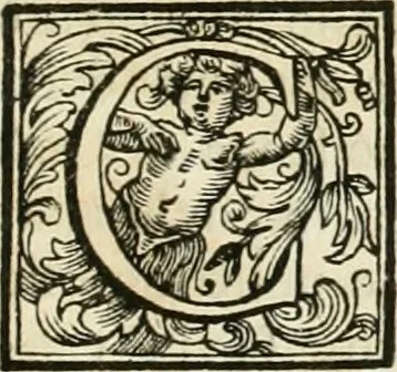 An illustration from Vite de' pittori, scultori, ed architetti perugini : scritte, e dedicate alla maesta' di Carlo Emanuel, re di Sardegna, 1732, leaf 88
