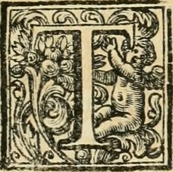An illustration from Vite de' pittori, scultori, ed architetti perugini : scritte, e dedicate alla maesta' di Carlo Emanuel, re di Sardegna, 1732, leaf 96