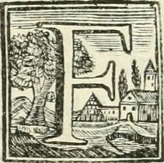 An illustration from Vite de' pittori, scultori ed architetti, che anno lavorato in Roma : morti dal 1641 fino al 1673, 1772, leaf 106
