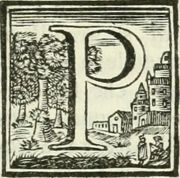 An illustration from Vite de' pittori, scultori ed architetti, che anno lavorato in Roma : morti dal 1641 fino al 1673, 1772, leaf 122