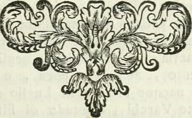 An illustration from Vite de' pittori, scultori ed architetti, che anno lavorato in Roma : morti dal 1641 fino al 1673, 1772, leaf 136
