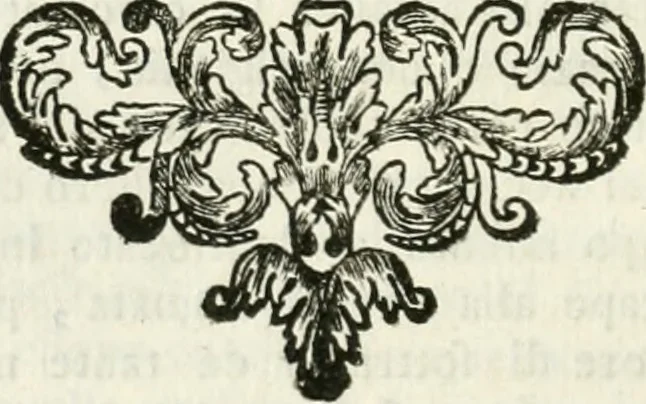 An illustration from Vite de' pittori, scultori ed architetti, che anno lavorato in Roma : morti dal 1641 fino al 1673, 1772, leaf 187