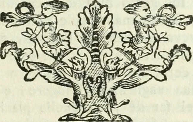 An illustration from Vite de' pittori, scultori ed architetti, che anno lavorato in Roma : morti dal 1641 fino al 1673, 1772, leaf 192