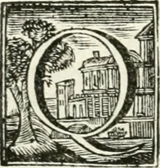 An illustration from Vite de' pittori, scultori ed architetti, che anno lavorato in Roma : morti dal 1641 fino al 1673, 1772, leaf 193