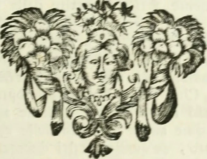 An illustration from Vite de' pittori, scultori ed architetti, che anno lavorato in Roma : morti dal 1641 fino al 1673, 1772, leaf 200