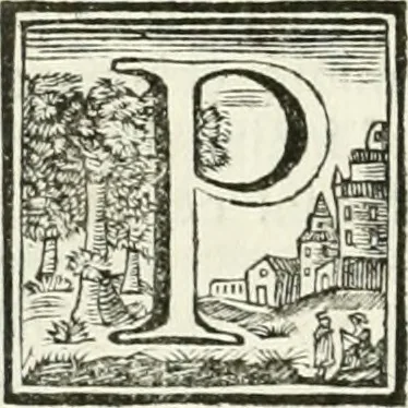 An illustration from Vite de' pittori, scultori ed architetti, che anno lavorato in Roma : morti dal 1641 fino al 1673, 1772, leaf 201