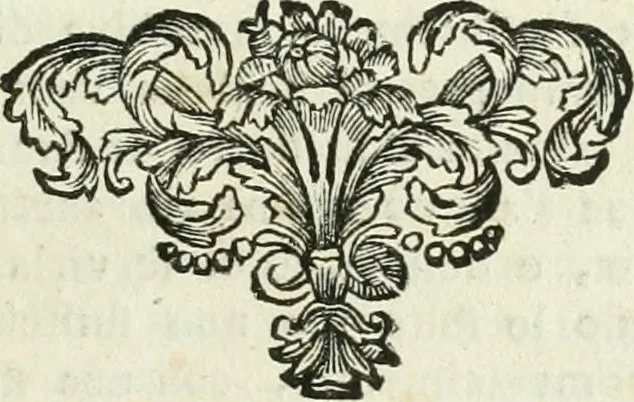 An illustration from Vite de' pittori, scultori ed architetti, che anno lavorato in Roma : morti dal 1641 fino al 1673, 1772, leaf 210