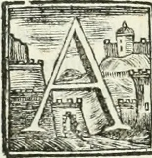 An illustration from Vite de' pittori, scultori ed architetti, che anno lavorato in Roma : morti dal 1641 fino al 1673, 1772, leaf 211