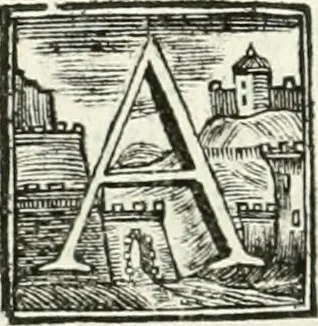 An illustration from Vite de' pittori, scultori ed architetti, che anno lavorato in Roma : morti dal 1641 fino al 1673, 1772, leaf 219
