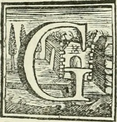 An illustration from Vite de' pittori, scultori ed architetti, che anno lavorato in Roma : morti dal 1641 fino al 1673, 1772, leaf 240