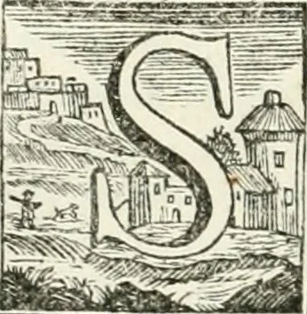 An illustration from Vite de' pittori, scultori ed architetti, che anno lavorato in Roma : morti dal 1641 fino al 1673, 1772, leaf 247