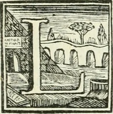 An illustration from Vite de' pittori, scultori ed architetti, che anno lavorato in Roma : morti dal 1641 fino al 1673, 1772, leaf 252
