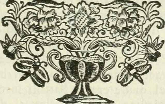 An illustration from Vite de' pittori, scultori ed architetti, che anno lavorato in Roma : morti dal 1641 fino al 1673, 1772, leaf 262