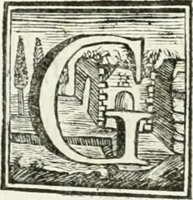 An illustration from Vite de' pittori, scultori ed architetti, che anno lavorato in Roma : morti dal 1641 fino al 1673, 1772, leaf 277