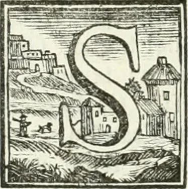 An illustration from Vite de' pittori, scultori ed architetti, che anno lavorato in Roma : morti dal 1641 fino al 1673, 1772, leaf 329