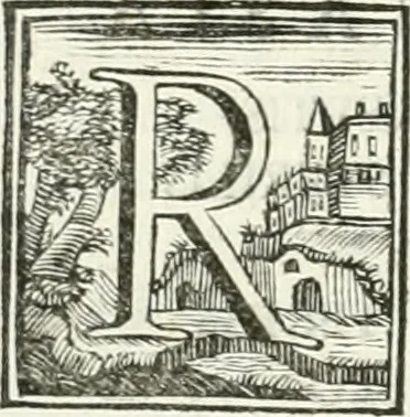 An illustration from Vite de' pittori, scultori ed architetti, che anno lavorato in Roma : morti dal 1641 fino al 1673, 1772, leaf 333