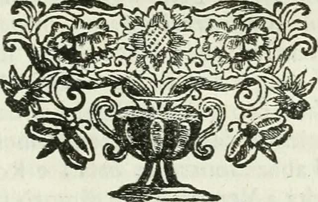 An illustration from Vite de' pittori, scultori ed architetti, che anno lavorato in Roma : morti dal 1641 fino al 1673, 1772, leaf 412