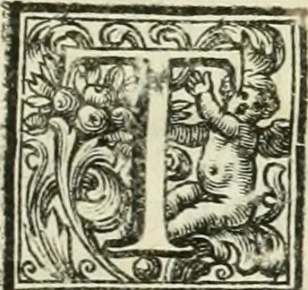 An illustration from Vite de' pittori, scultori, ed architetti moderni, 1730, leaf 132