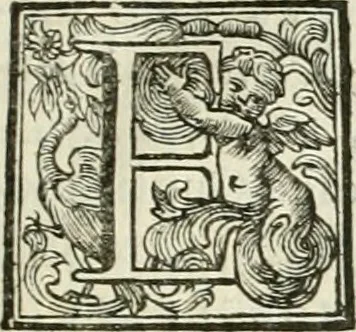 An illustration from Vite de' pittori, scultori, ed architetti moderni, 1730, leaf 176