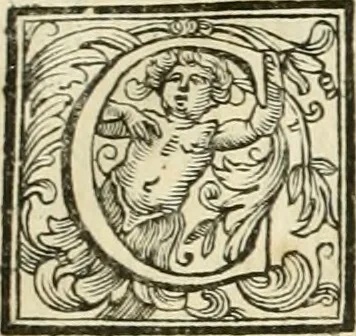 An illustration from Vite de' pittori, scultori, ed architetti moderni, 1730, leaf 204