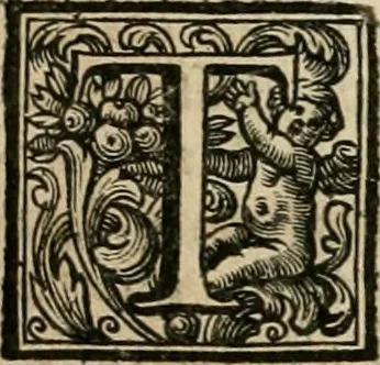 An illustration from Vite de' pittori, scultori, ed architetti moderni, 1730, leaf 217